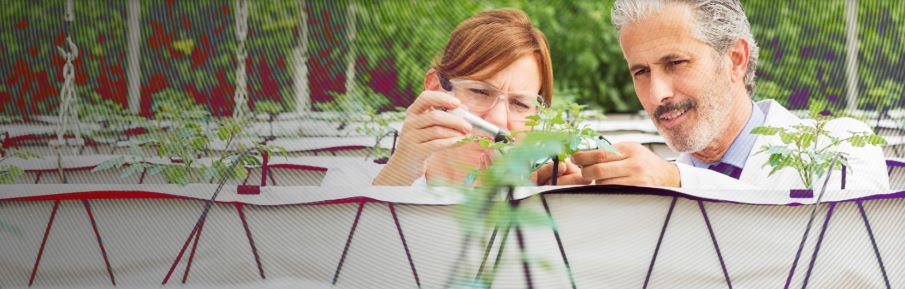 SANTANDER X GLOBAL CHALLENGE: FOOD FOR THE FUTURE