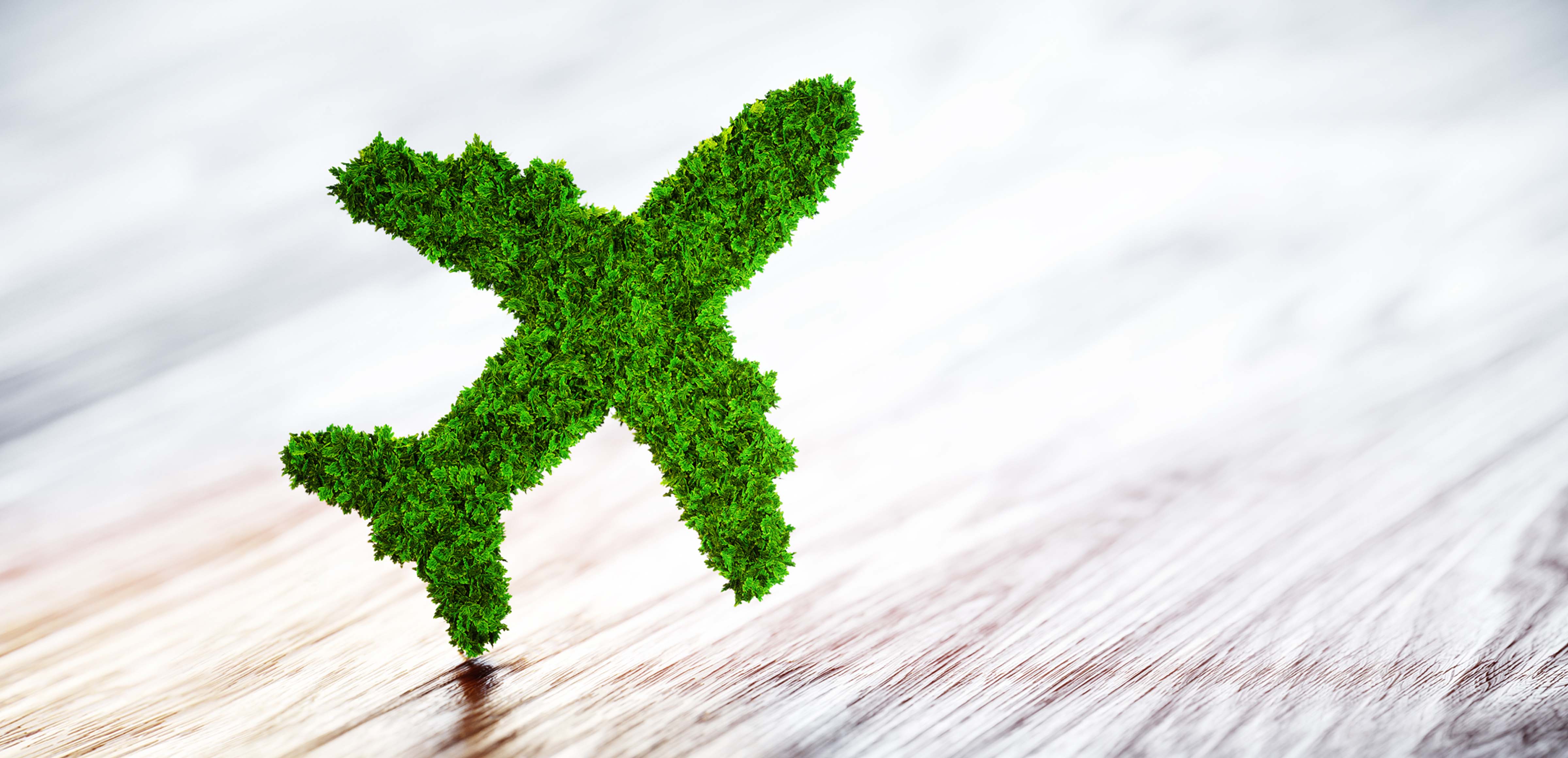 ENDESA (ENEL): Environmental impact | AdR, Enel X and Enel X Way challenge