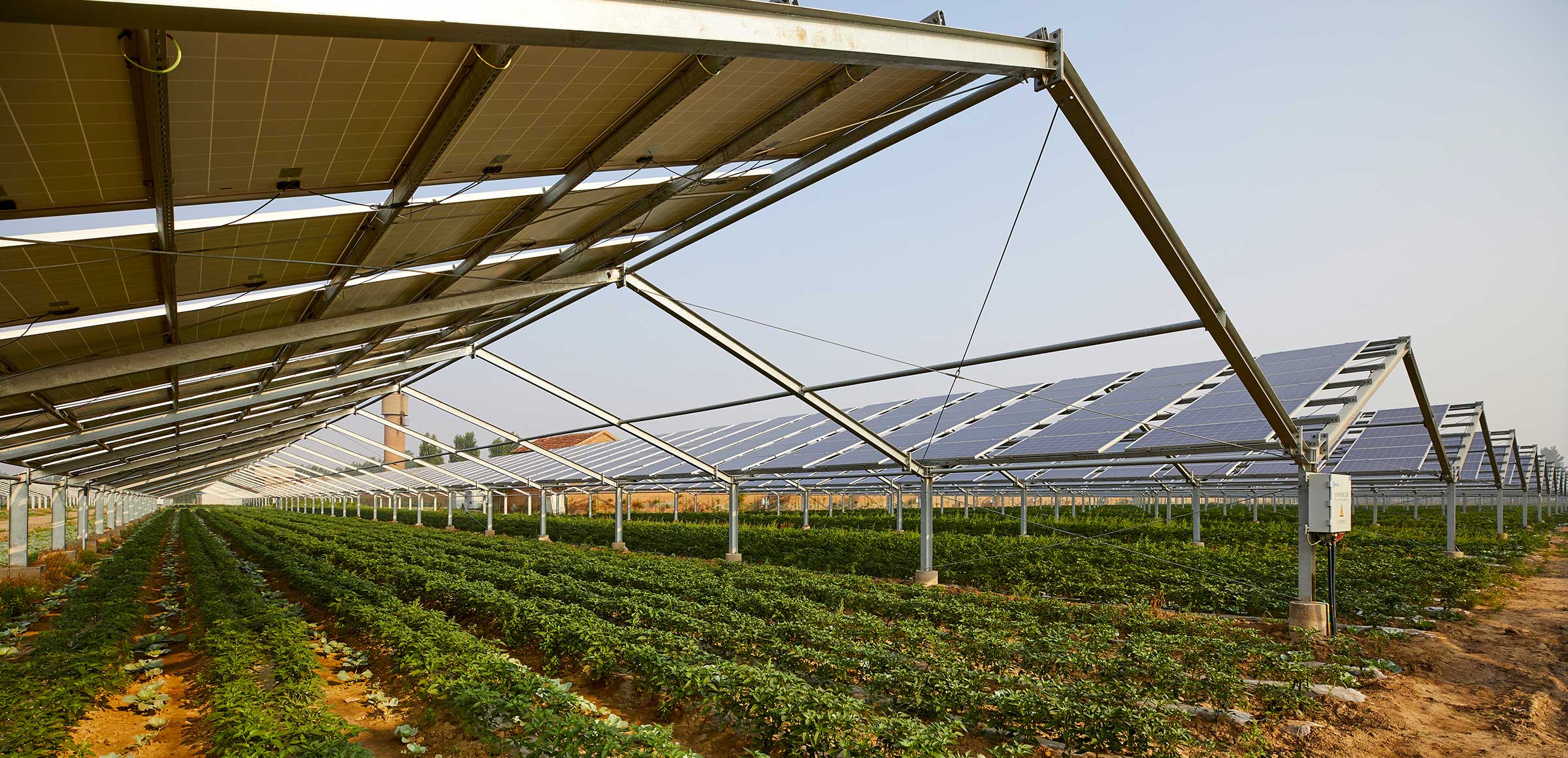 ENDESA (ENEL). Sustainable Synergies: Interconnected Systems for Positive Impact | ESA Business Applications