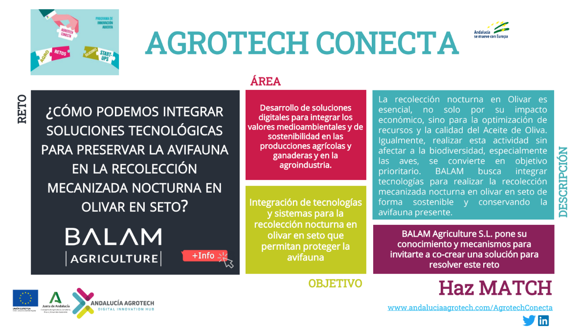 RECOLECCIÓN NOCTURNA EN OLIVAR EN SETO